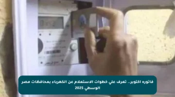 فاتورة أكتوبر.. تعرف على خطوات الاستعلام عن الكهرباء بمحافظات مصر الوسطى 2025